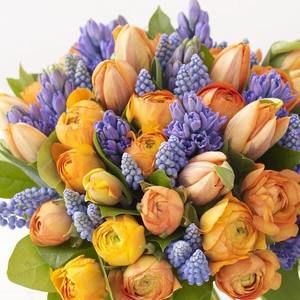 Meet your Posher, Penny